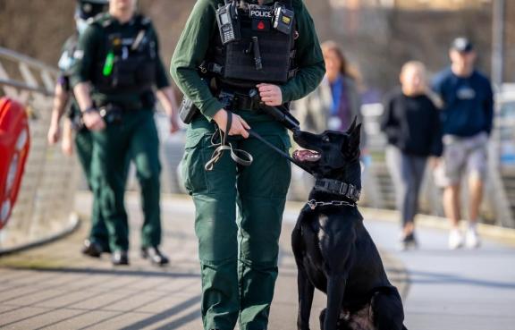 Police Dog with Handler