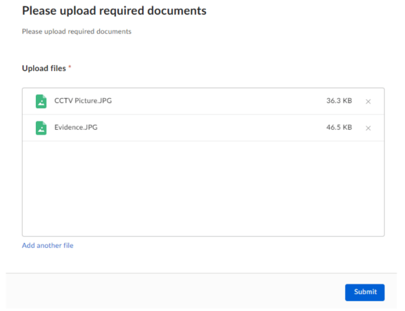 Digital Evidence Submission - Document Upload