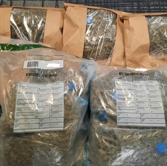 The seized suspected cannabis
