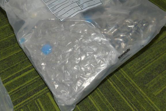 Some of the drugs seized