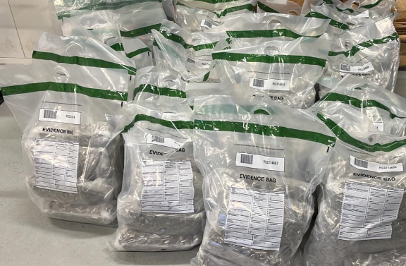 Suspected herbal cannabis with around £2million seized