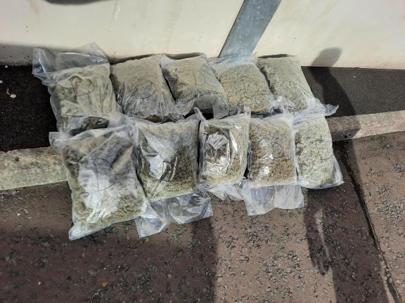 Cannabis seized from the Doogary Road, Omagh