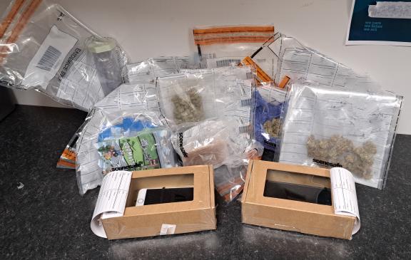 Cannabis seizure