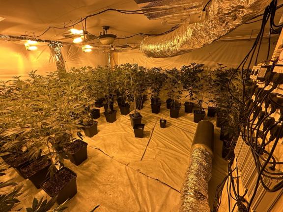 Suspected cannabis factory