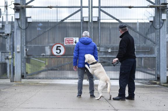 Example of a planned search, using a trained dog to detect drugs