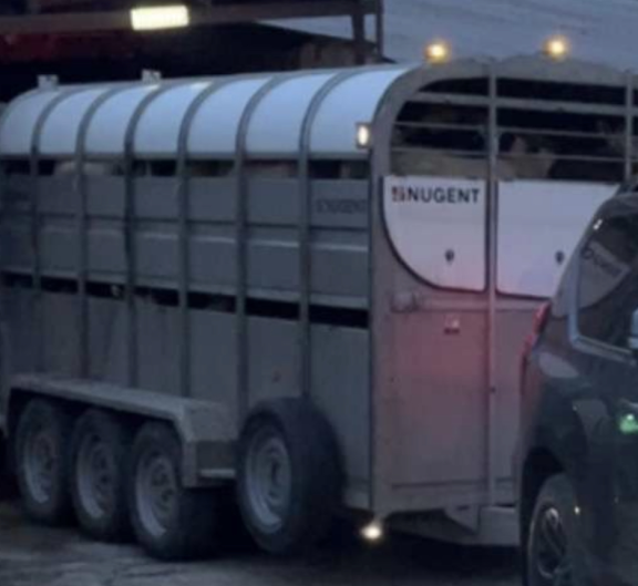 This Nugent cattle trailer was stolen from a farmyard in Artigarvan