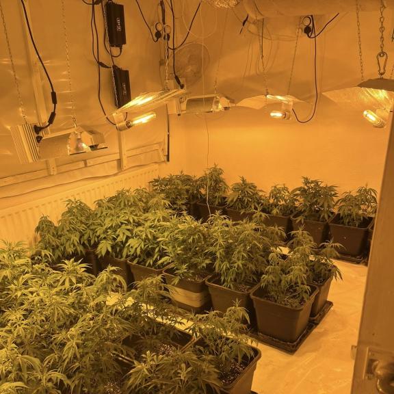 Photo of drugs seized in Coalisland