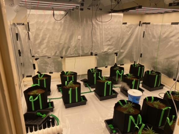 Suspected cannabis with an estimated street value of around £68,000 recovered from a search in Magherafelt
