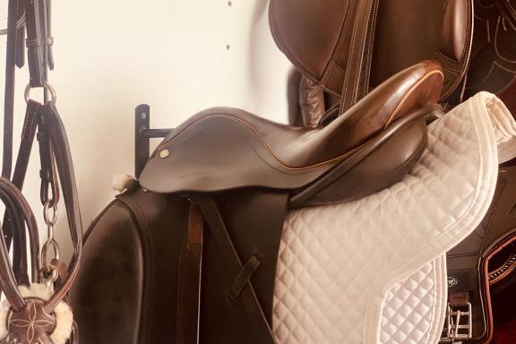 horse saddle