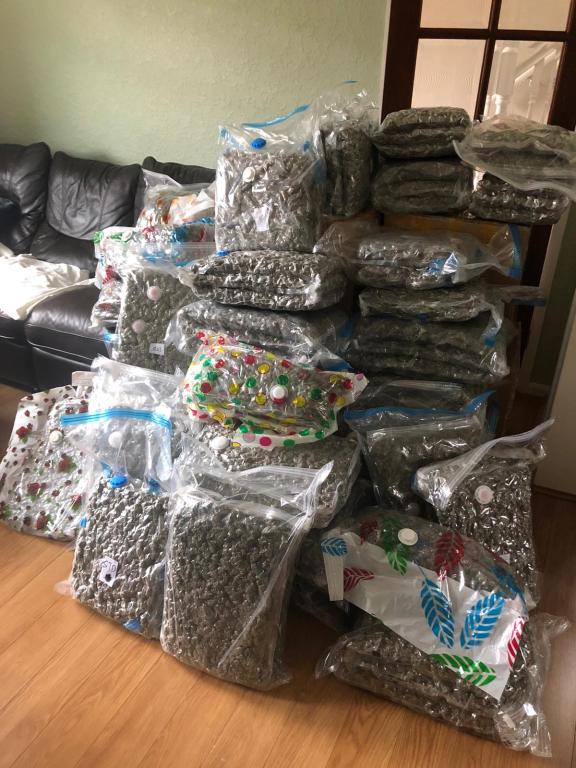 Cannabis seized in July 2020