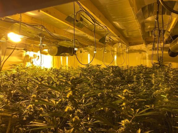 Image of the cannabis factory that was located by officers from the Police Service of Northern Ireland’s Organised Crime Unit at the Limestone Road in North Belfast on Friday 7th June 2024