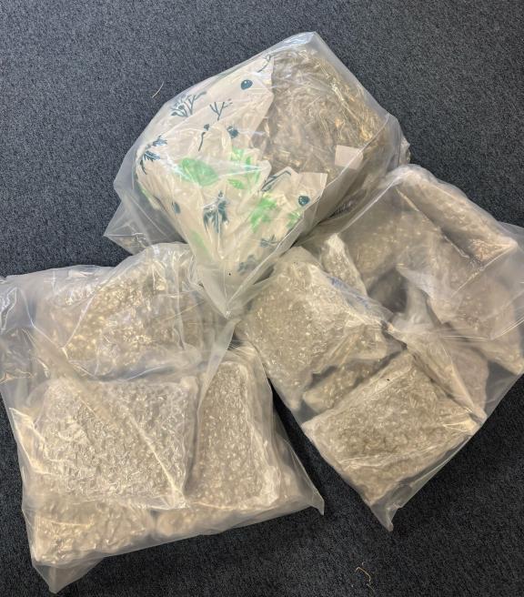 Suspected cannabis with an estimated street value of around £425,000 seized by Organised Crime Branch