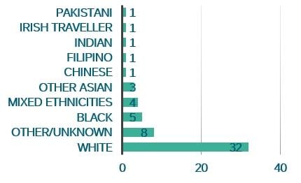 Bar chat showing the ethnicity declared by respondents