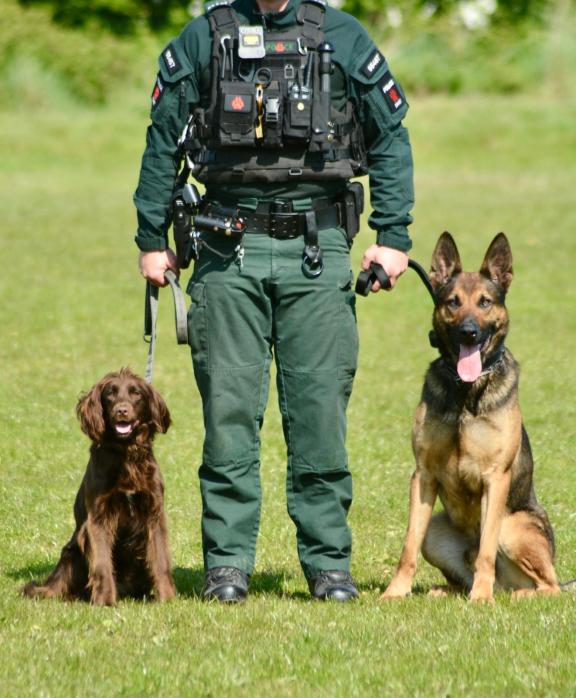 PSNI Dog Section 