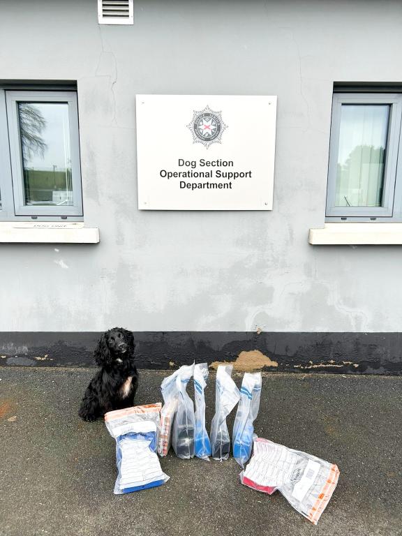 Police Dog Ice with items seized during recent searches conducted in Lisburn.