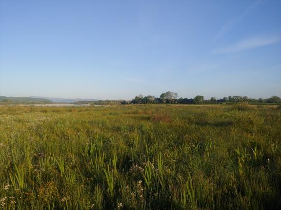 Innishrrosk, County Fermanagh - image courtesy of Jonathan Pinnick, RSPB