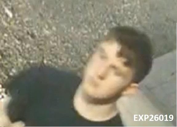 EXP26019